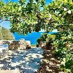 The Paradise * Marittima