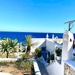 The Paradise