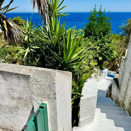 The Paradise Villa Marittima