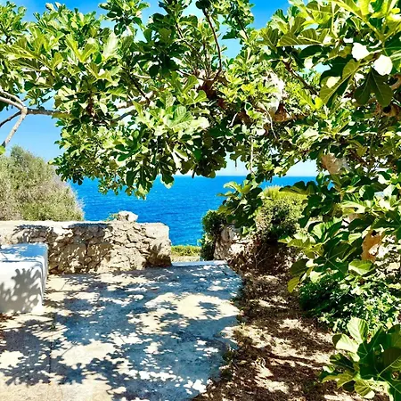 The Paradise * Marittima