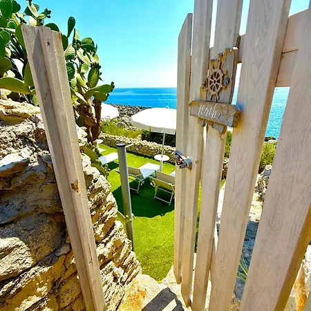 The Paradise *