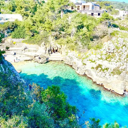 The Paradise
