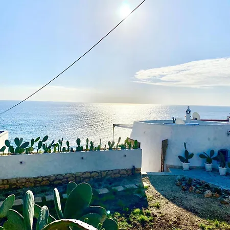 The Paradise