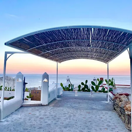 Willa The Paradise *