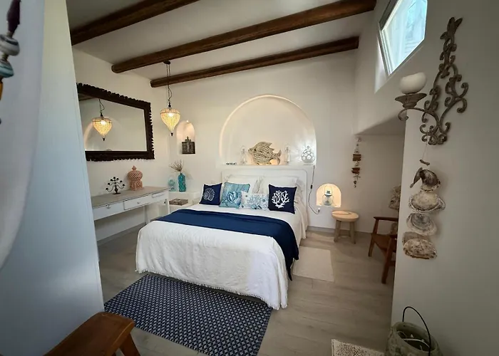 The Paradise فيلة ماريتيما