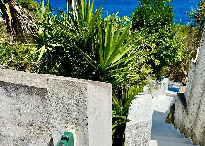 The Paradise 别墅 马里蒂玛