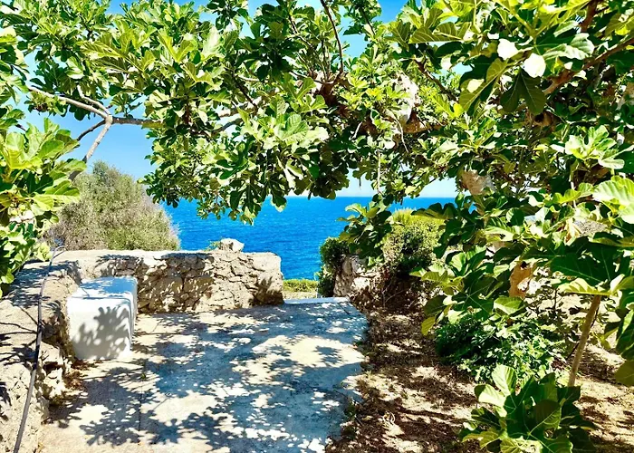 The Paradise * 马里蒂玛