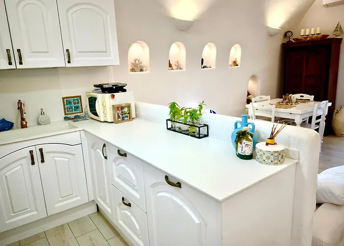 The Paradise فيلة *