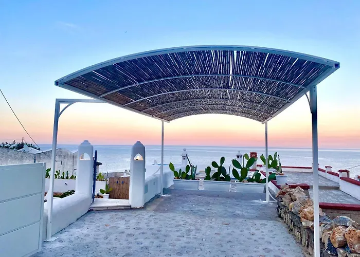 فيلة The Paradise *